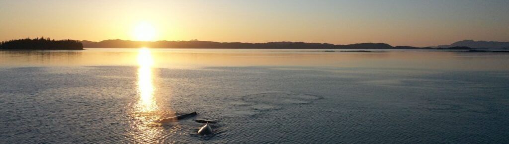 The sun setting over calm water off Prince of Wales Island in Southeast Alaska
